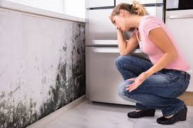 Trusted Lockeford, CA Mold Remediation Experts