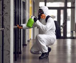 Best Mold Removal for HVAC Installations  in Lockeford, CA